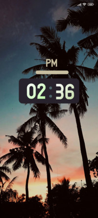 Coconut Sky