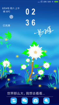 私人订制  三叶花