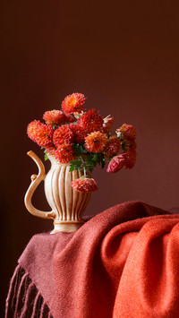 Beautiful colorful chrysanthemums in the vase