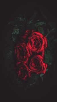 Floral (9)