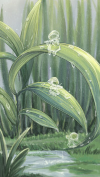 雨水节气的地方习俗