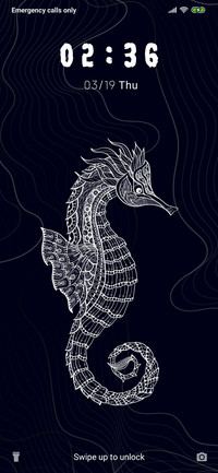 SeaHorse_3MDP