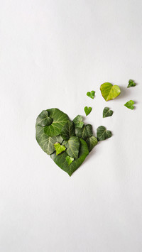 Minimalist Plants and flowers