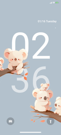 Cute Koala