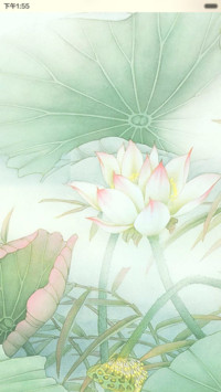 清新荷韵-江南