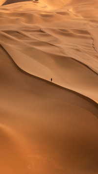Lonely warrior