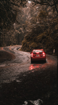 RoadTrip (16)