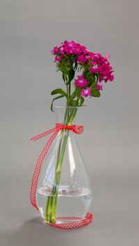 Good beautiful flowers