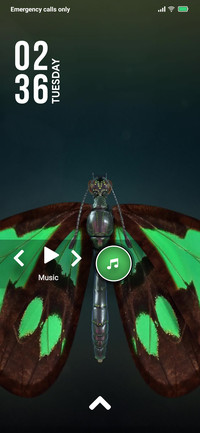 Fly_3MDP
