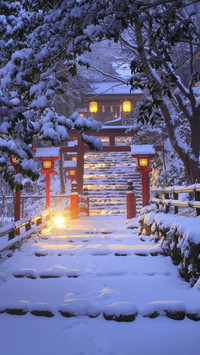 灯光下的神社