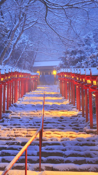 灯光下的神社