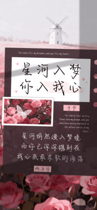 星河入梦你入我心