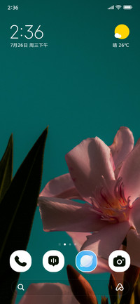 Sky Petals