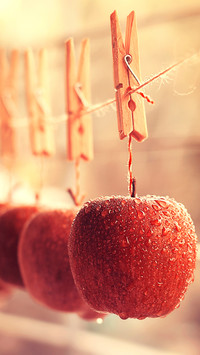 india-apple