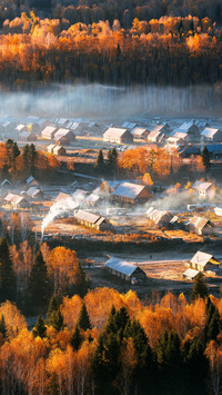 Go to hemu to experience the colorful feast