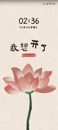 好运莲莲 多壁纸