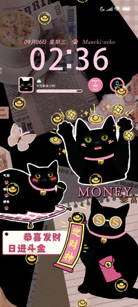 招财进宝小黑猫