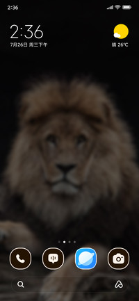 Lion