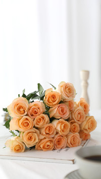 The Yellow Rose
