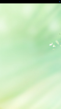 情牵桃花源