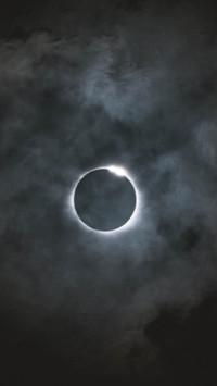 Dark (20)