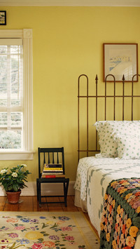 The bedroom brush 32