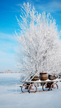 International-winter
