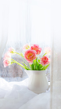 A vase of pink tulips stands on the window
