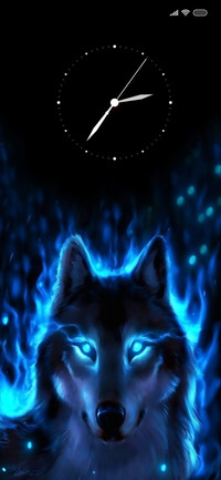 Wolf On