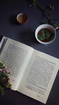 书本