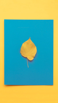 Creative wallpaper-10