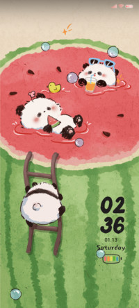 Watermelon summer