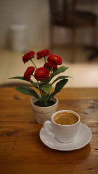 Cappucino cup and flower above wooden table