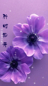 那时花开
