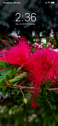 Red Thread_DWM3
