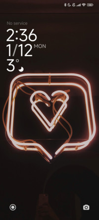 Heart
