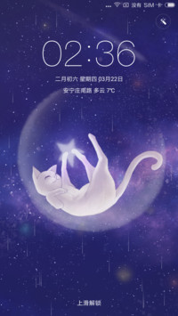 月光里的猫