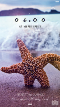 海星的爱情-girl（好评返现）