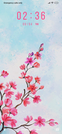 Cherry Blossom_3MDP