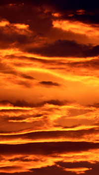 Orange and Red (16)