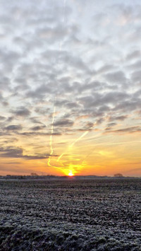 112177_1440x2560.jpg