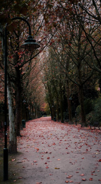 Roads &amp; Pathways (18)