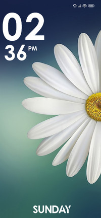 Daisy