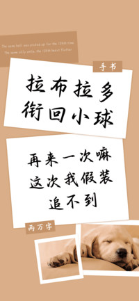 拉布拉多衔回小球
