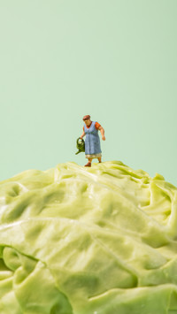 Five moves to select the perfect cabbage