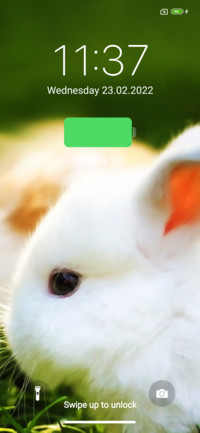Rabbit Ti