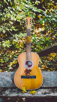 Guitar (14)