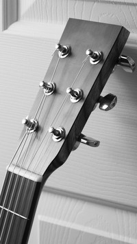 Guitar (15)