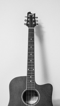 Guitar (7)