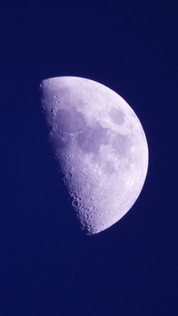 Moon Wallpaper